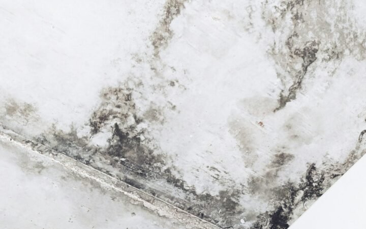 Bare concrete wall in an unfinished basement
