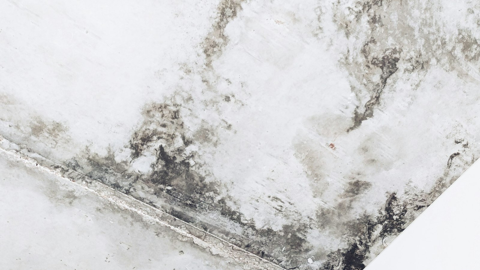 Bare concrete wall in an unfinished basement