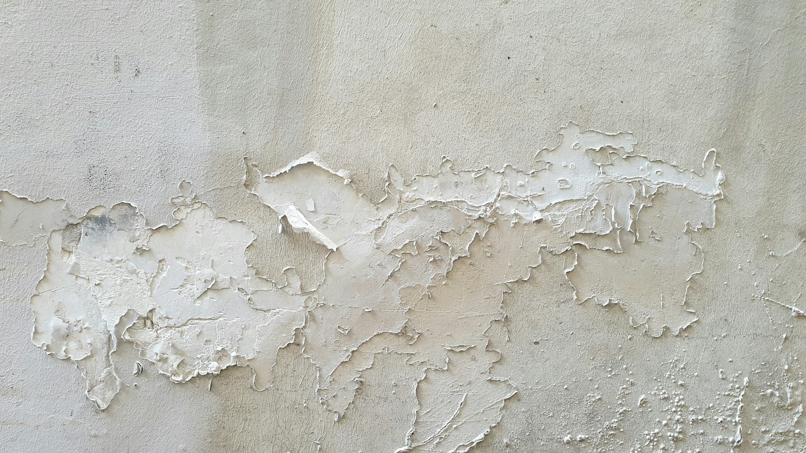 Discolored patches on a white wall near a ceiling, typical of condensation and mold