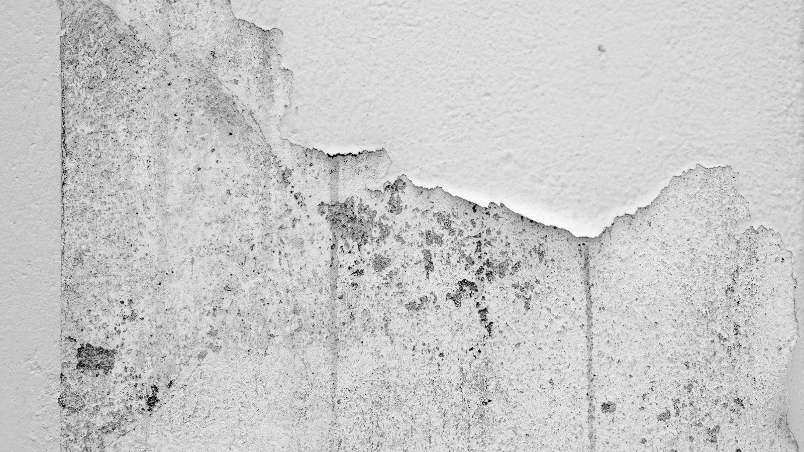 A section of damaged wall with a hole cut into it during mold removal