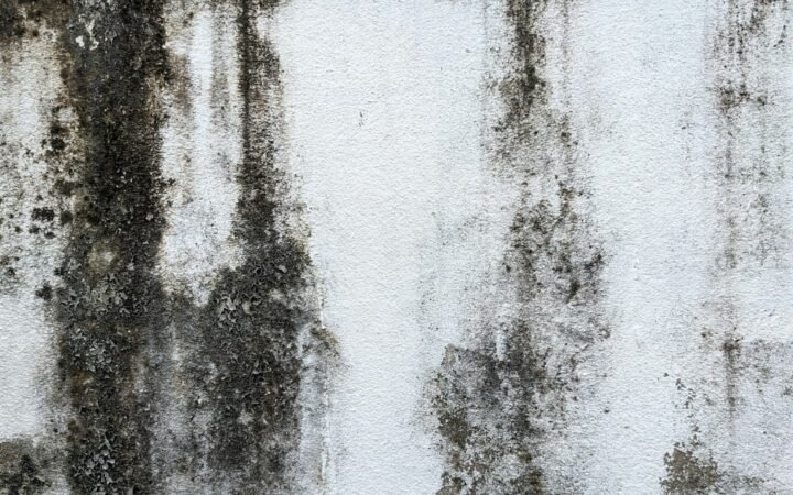Black moldy spots on a white painted wall in a damp room