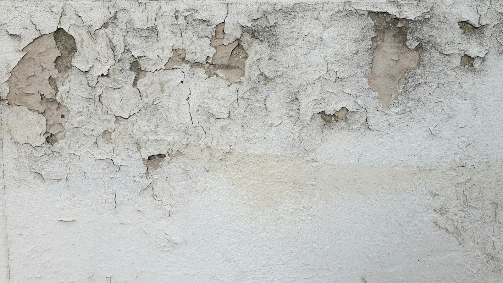 Damp wall with peeling paint after a water leak
